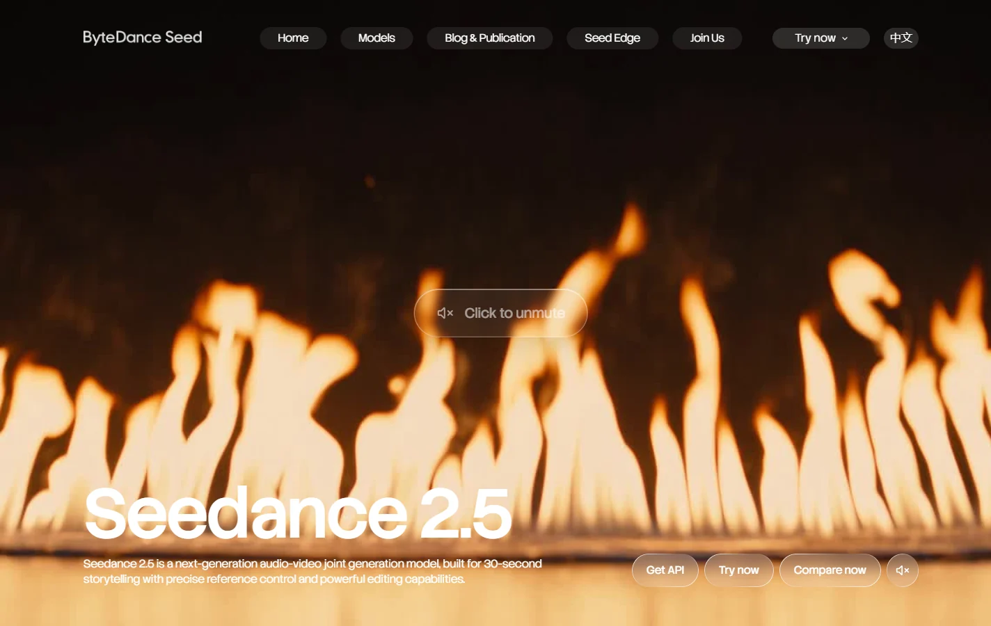 Official Seedance 2.5 page on the ByteDance Seed site, with Get API, Try now and Compare now buttons.