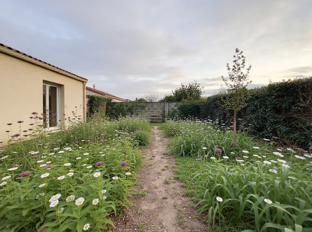 Naturgarten mit lockeren Beeten, gemähtem Pfad